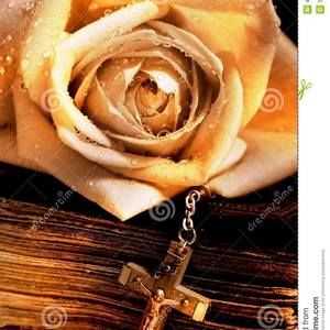 Meet your Posher, Yolanda